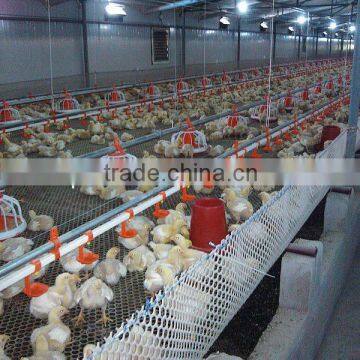 Full Set High Quality Automatic Equipment for Broiler Poultry House