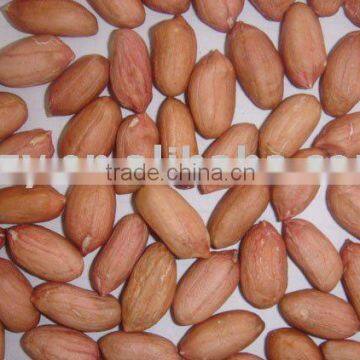 shandong peanut