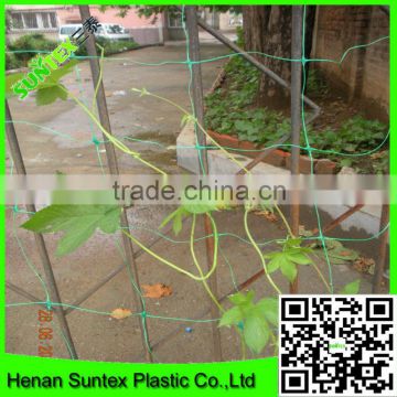 pe orchard net and professional agricultural net for vegetable support