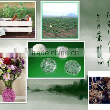 Hot! High quality best price sap