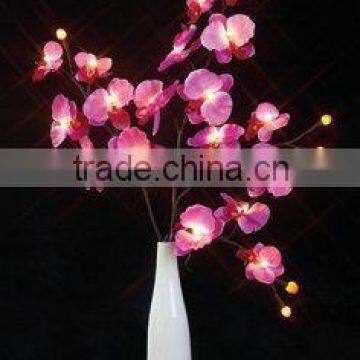 Orchid light