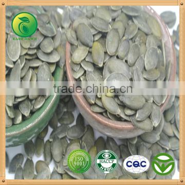 GWS Pumpkin Seed GWS good quality bulk raw wholeasale best selling