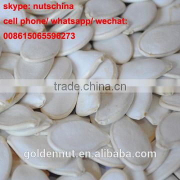 CHINESE SNOW WHITE PUMPKIN SEEDS FOR egypt 11cmup 13 cm up 11mm up 13 mm up