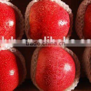 2015 red huaniu apple