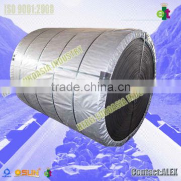 high distance and load nylon conveyor belt