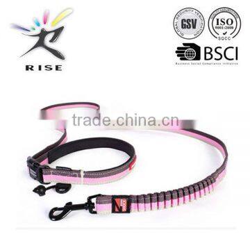 Decorative led dog leash for training dog