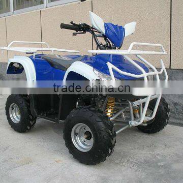 49cc,110cc,125cc Off road ATV,Quad bike