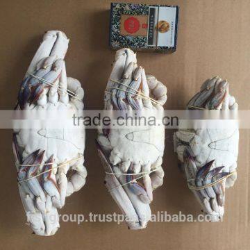 FROZEN SWIMMING CRAB (FROM LIVE)