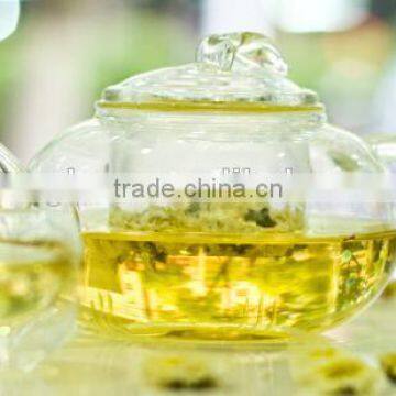 15.2fl.oz Heat-Resisting Pyrex Glass Clear Teapot with infuser