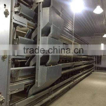 H Type Hen Chicken Cage photo-2