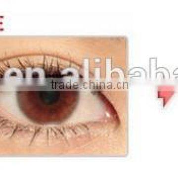Authentic Korea Geo Contact Lens Good Quality Colour Contact Lens GEO XCH Yearly Geo Contact Lens Quality Choice photo-6