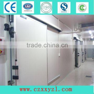 Cold storage room pu sandwich panel door