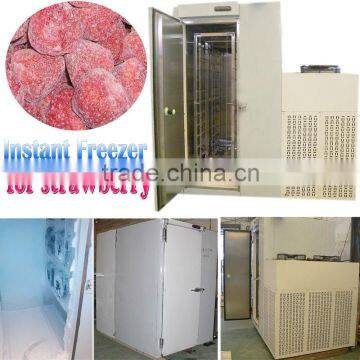 instant freezer for 300kg strawberry freezing