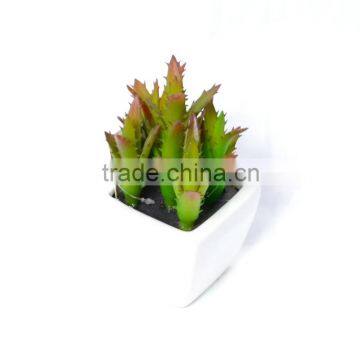15cm Artificial Succulent in Mixed Color in Square Pot