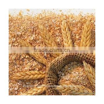 Wheat Bran Oil (Co2)