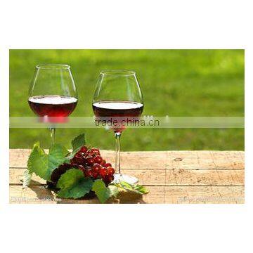 Best seller!! fruit wine equipment with German technology