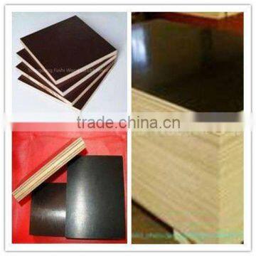 20MM Brown/Black Birch Film Faced Plywood