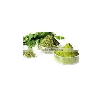 ISO Certified Moringa Leaf Powder Pure Moringa Herbal Powder Bulk Moringa Powder photo-2