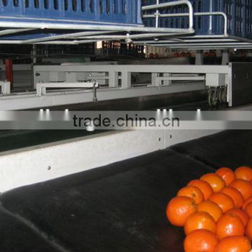 Fresh navel orange 40-88pcs in 14kg plastic box