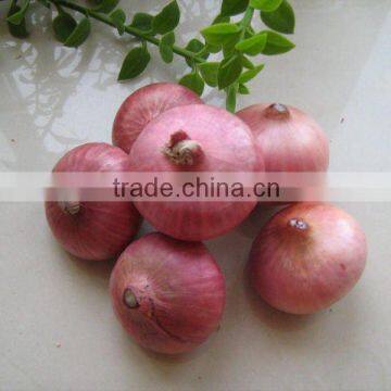 Chinese 2012 Fresh Red Onion in High Quality and Inexpensive