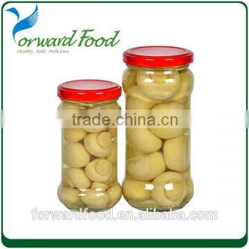 champions mushroom in jar for sale