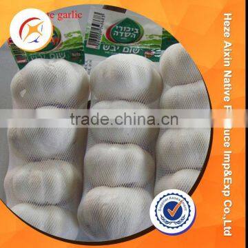 Bulk Fresh Garlic In Carton Package