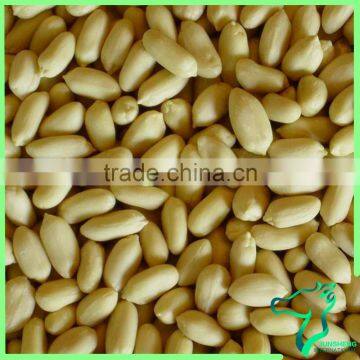 Blanched Peanut Kernel Wholesale Price Most Popular Peanuts