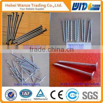 all kinds of concrete nail sizes/high quality concrete nails/common nails