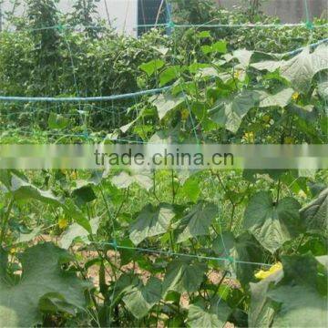 Agriculture plant support net, Agriculture climbing plant net