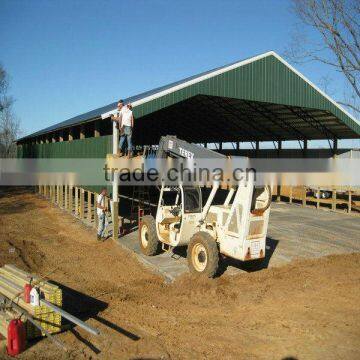 chicken poultry shed design