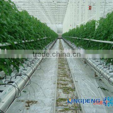Hydroponics System for Greenhouses photo-2