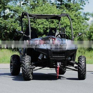 EEC/EPA Certificated 500cc 4 Wheel Drive 500cc off Road Dune Buggy photo-4