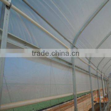 Used Greenhouses Single Span Plastic Film Tunnel Greenhouse for Sale photo-2