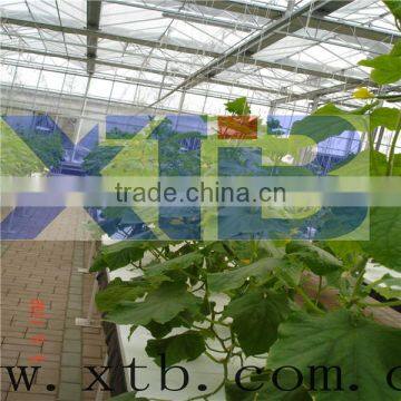 Multi-span hydroponic agricultural film greenhouse