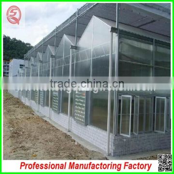 Hot-dip galvanized steel frame multi-span greenhouse with manufacturer