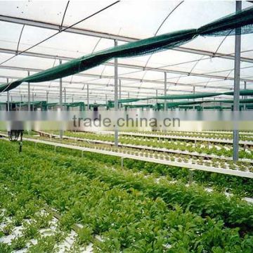 hydroponic used for styrofoam greenhouse