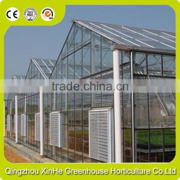 Planting the sunlight greenhouse flowers,modern greenhouse for agriculture farming and grow