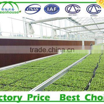 Venlo Glass Greenhouse photo-6