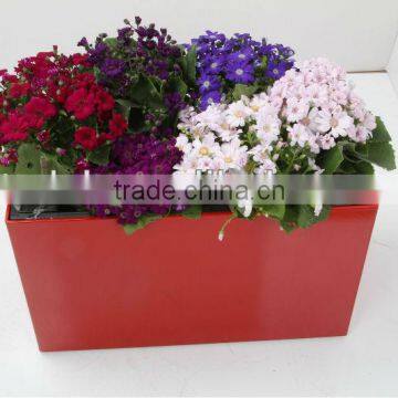 Rectangular combined gardening pot,best-selling flowerpot