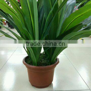 SJ300916 Artificial Indoor Decorative Bonsai Plant With Daffodils Flower photo-5