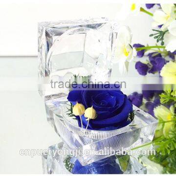 Ring Box Mulit Color Cheap Preserved Rose Flower photo-2