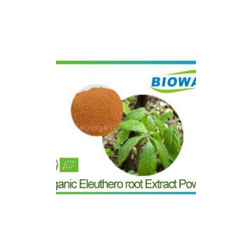 Organic Eleuthero Root Extract Powder