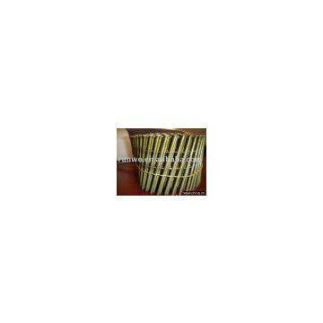 coil nail