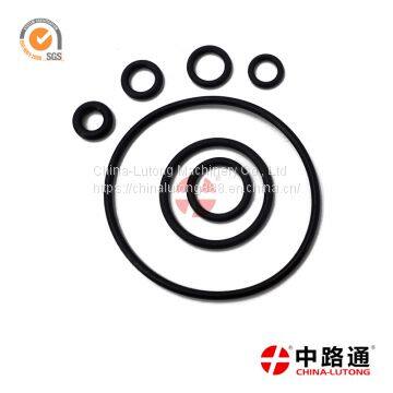 cummins isx fuel pump rebuild kit 2 467 010 003 cav injection pump seal kit