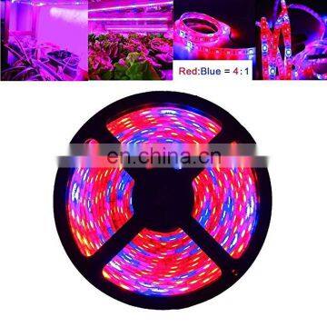 Светодиодные ленты для выращивания растений 5050 SMD LED Plant Strips Light длиной 16,4 фута для аквариума, теплицы и гидропоники photo-4