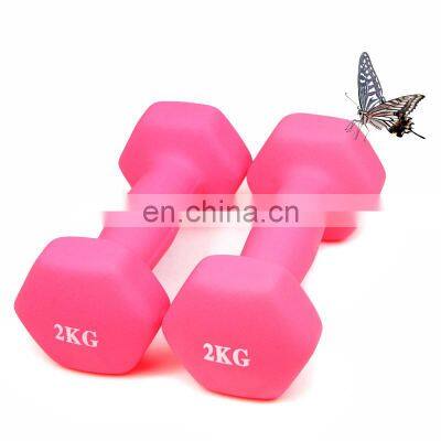 High Quality Non Slip Impregnated Dumbbell Lady Dumbbell Fitness Equipment Yoga Slim Arm Dumbbell