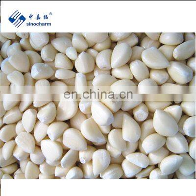 2022 A grade Fresh Natural Garlic granules