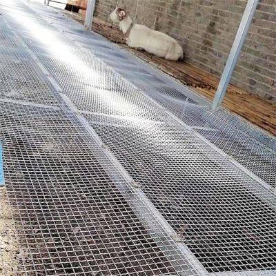 Breeding Fencepig Calico Net2cm*5cmstrong Impact Resistance