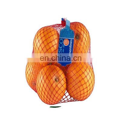 CHINA Market potato onion garlic ginger orange packing machine