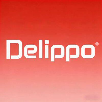 Shenzhen DeLippo Technology Co.,LTD company overview - view 1